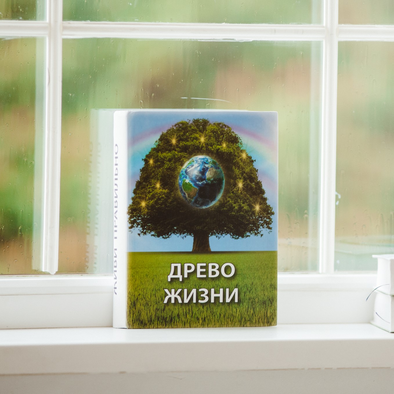 «Древо Жизни»